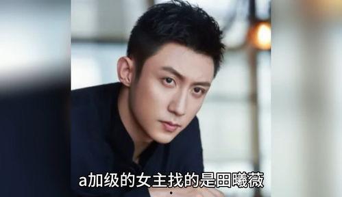 在娱乐圈吃瓜八卦的小说